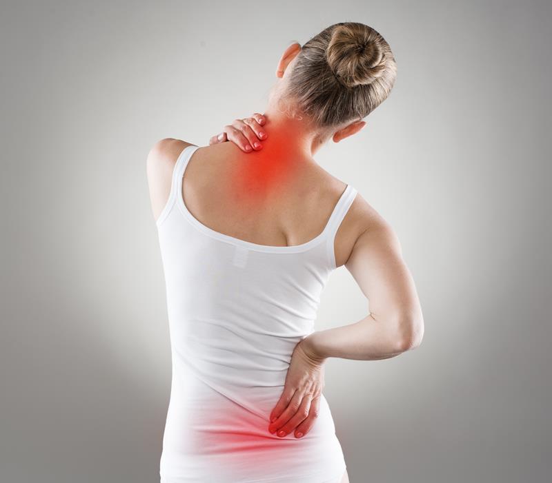Chiropractor in Norridge and Willow Springs, IL