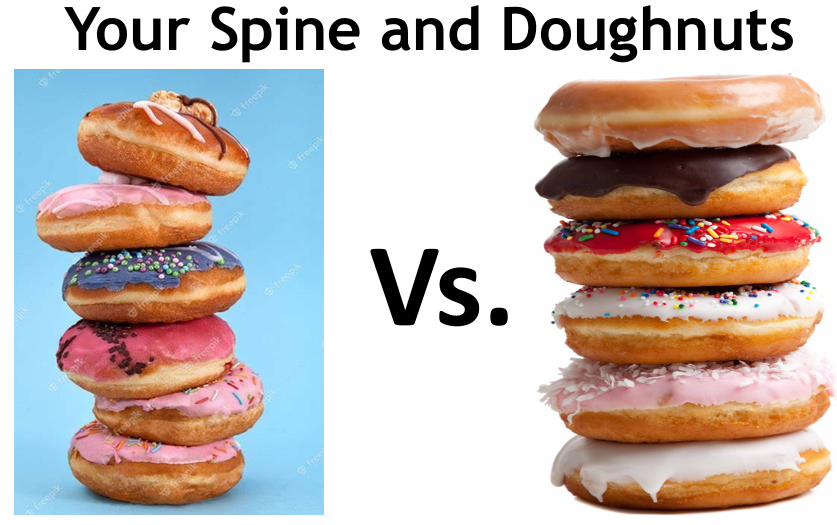 Doughnuts and Your Spine